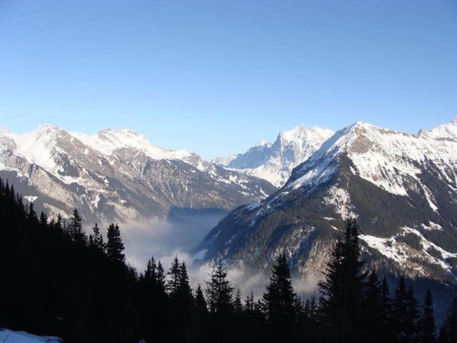Charming Penthouse Lauterbrunnen