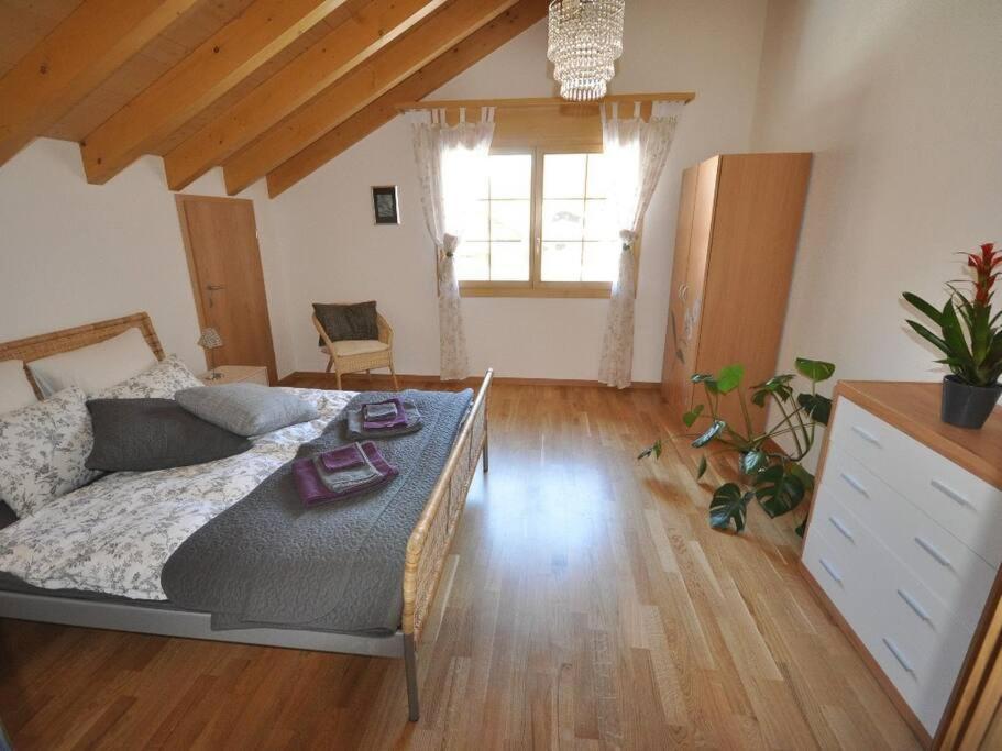 Charming Penthouse Apartment Lauterbrunnen